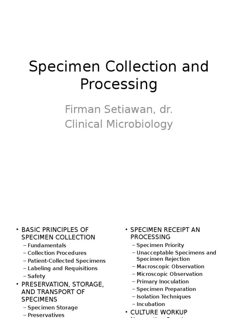 Specimen Collection And Processing | PDF | Medical Microbiology | Infection