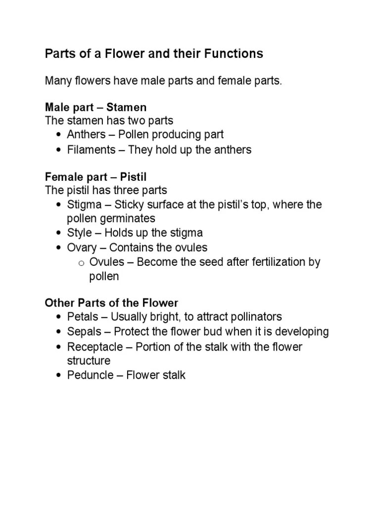 Parts of a female flower. Parts Of A Flower And Their Functions Flowers Seed