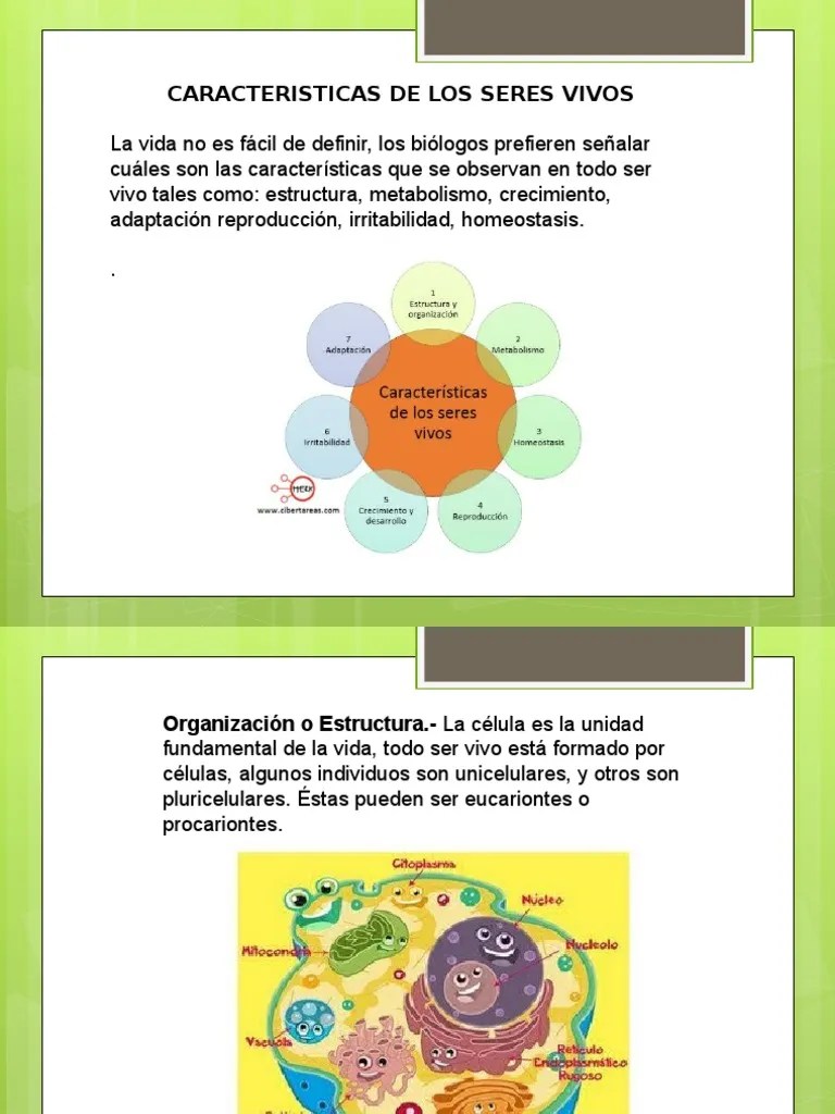 Caracteristicas De Los Seres Vivos | PDF | Organismos | Metabolismo