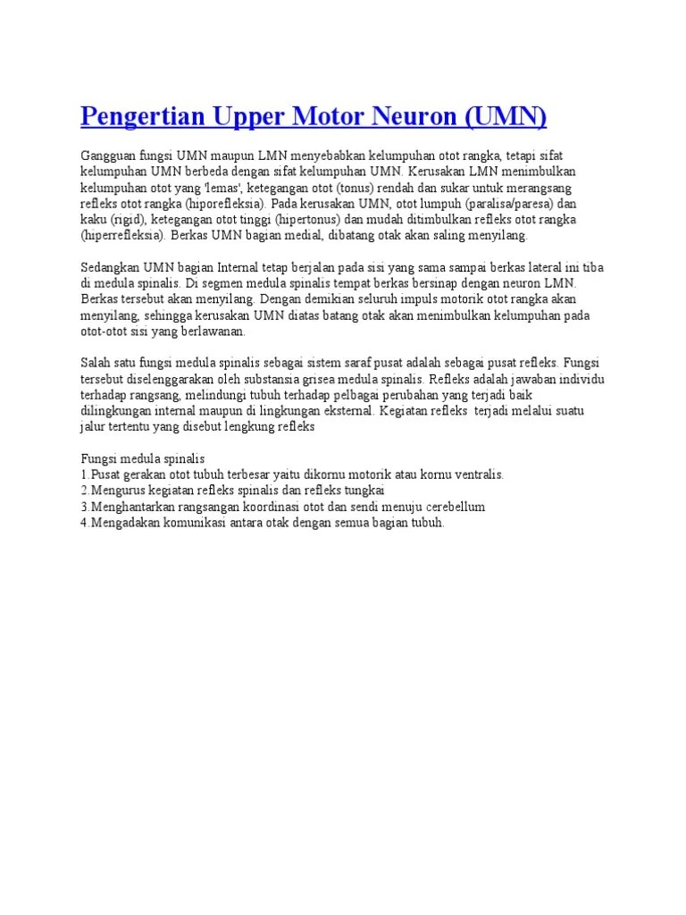 Pengertian Upper Motor Neuron | PDF