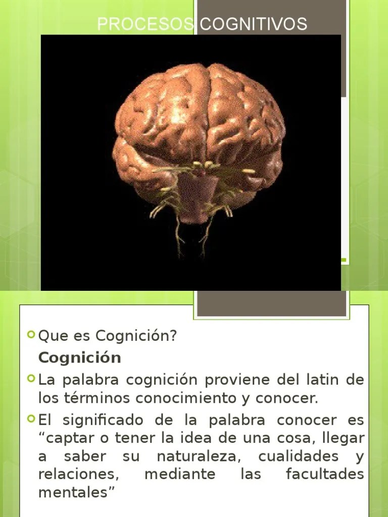 Clase Procesos Cognitivos | PDF | Memoria | Percepción
