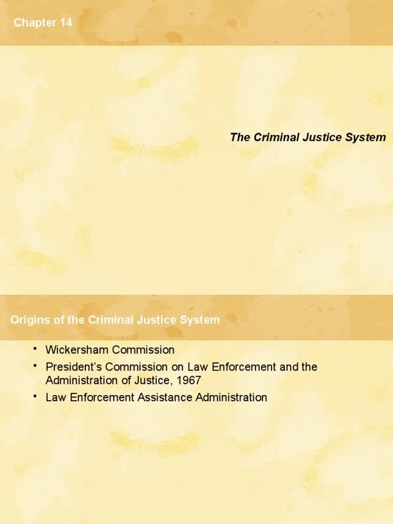 Criminal Justice System | PDF | Criminal Justice | Crime & Violence