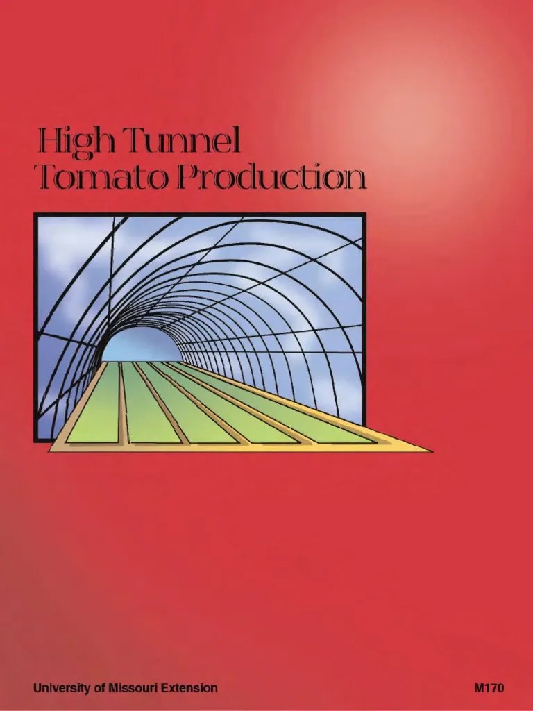 Tomato Production | PDF | Mulch | Tomato