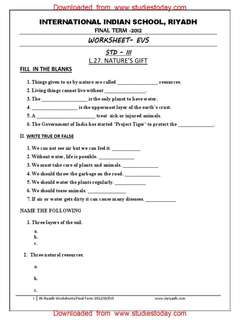 CBSE Class 3 EVS Practice Worksheets (73) - Revision | PDF | Soil | Blood