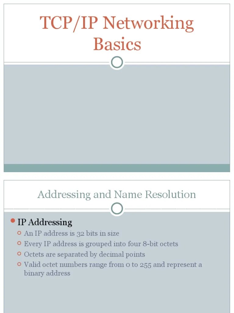 TCP-IP Networking Basics | PDF | Ip Address | Domain Name System