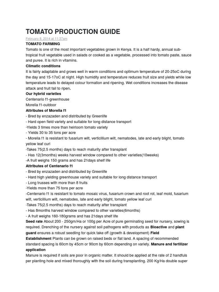 Tomato Production Guide | Tomato | Sowing