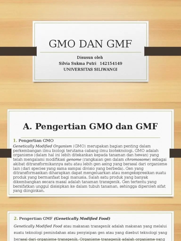 Gmo Dan GMF | PDF