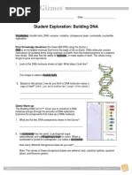 Building Dna Gizmo Answers Key Pdf : Building Dna Gizmo Answers Key Pdf : Rna And Protein ...