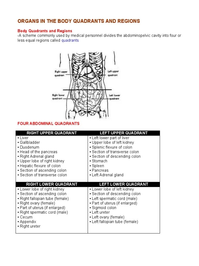 How can i get the specified quadrant of a label using pyqgis? Organs in the Body Quadrants and Regions