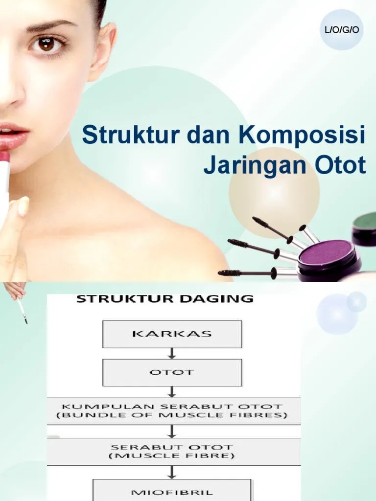 Struktur Dan Komposisi Jaringan Otot | PDF