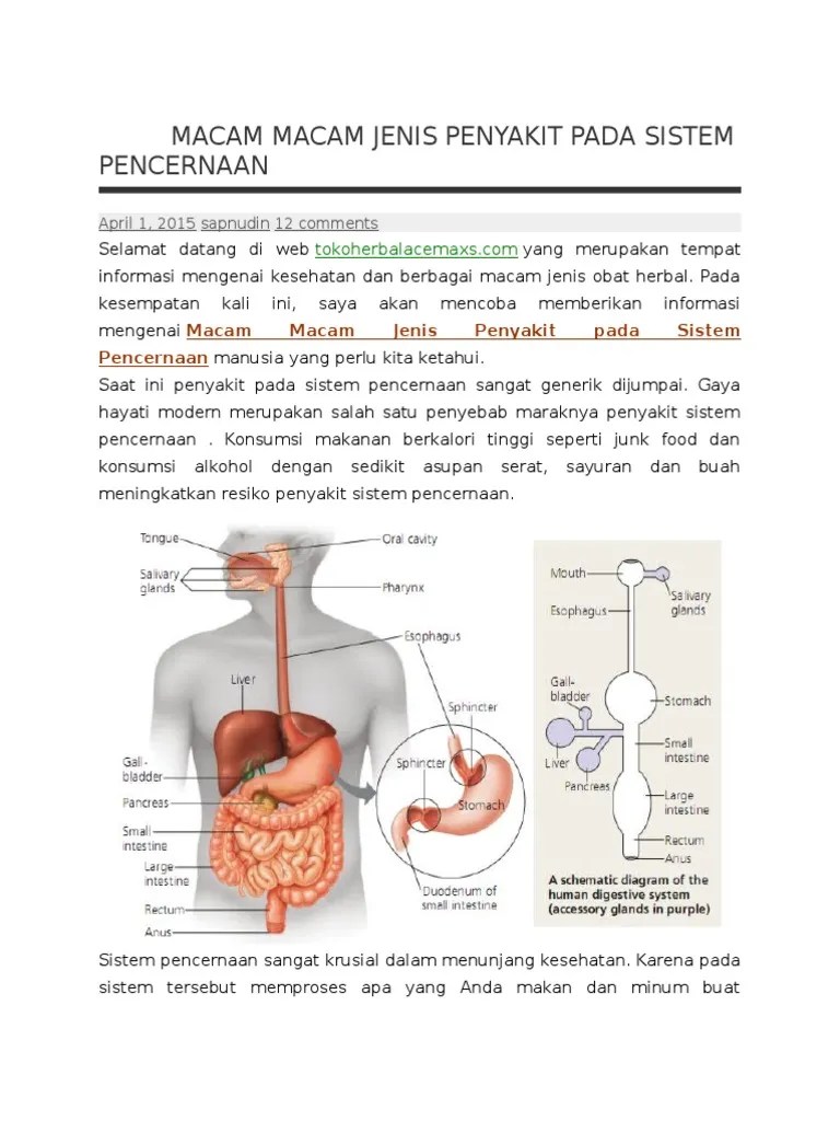 Macam Macam Jenis Penyakit Pada Sistem Pencernaan | PDF