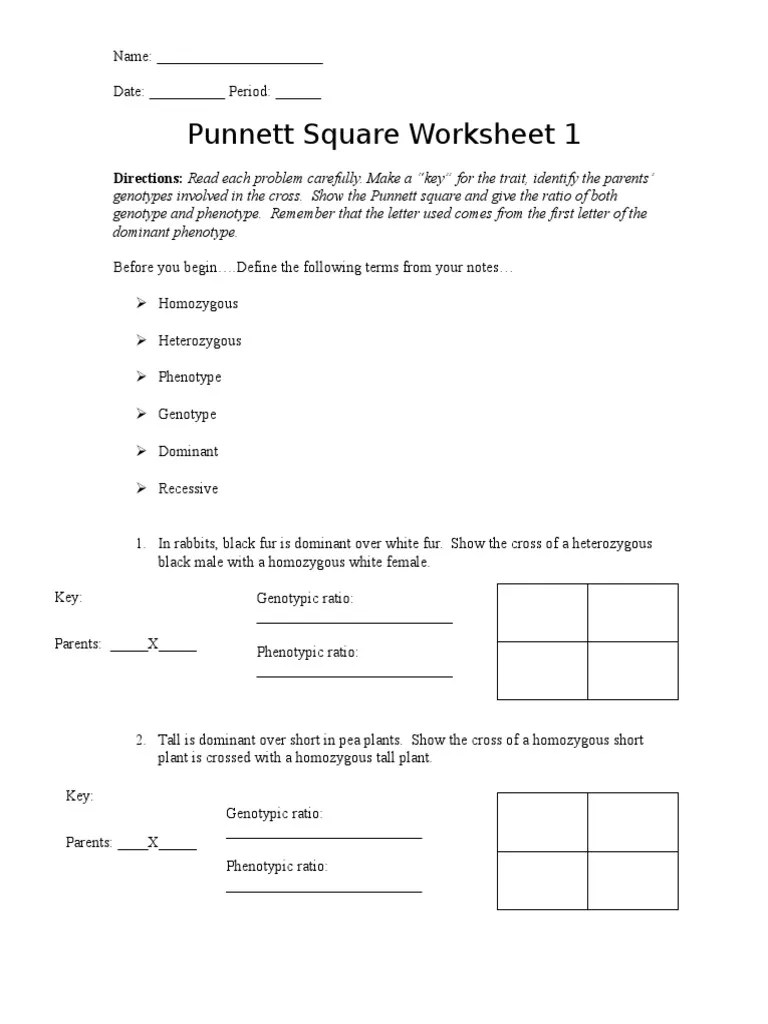 Punnett square worksheet human characteristics answers from. Punnett Square Worksheet 1 Pdf