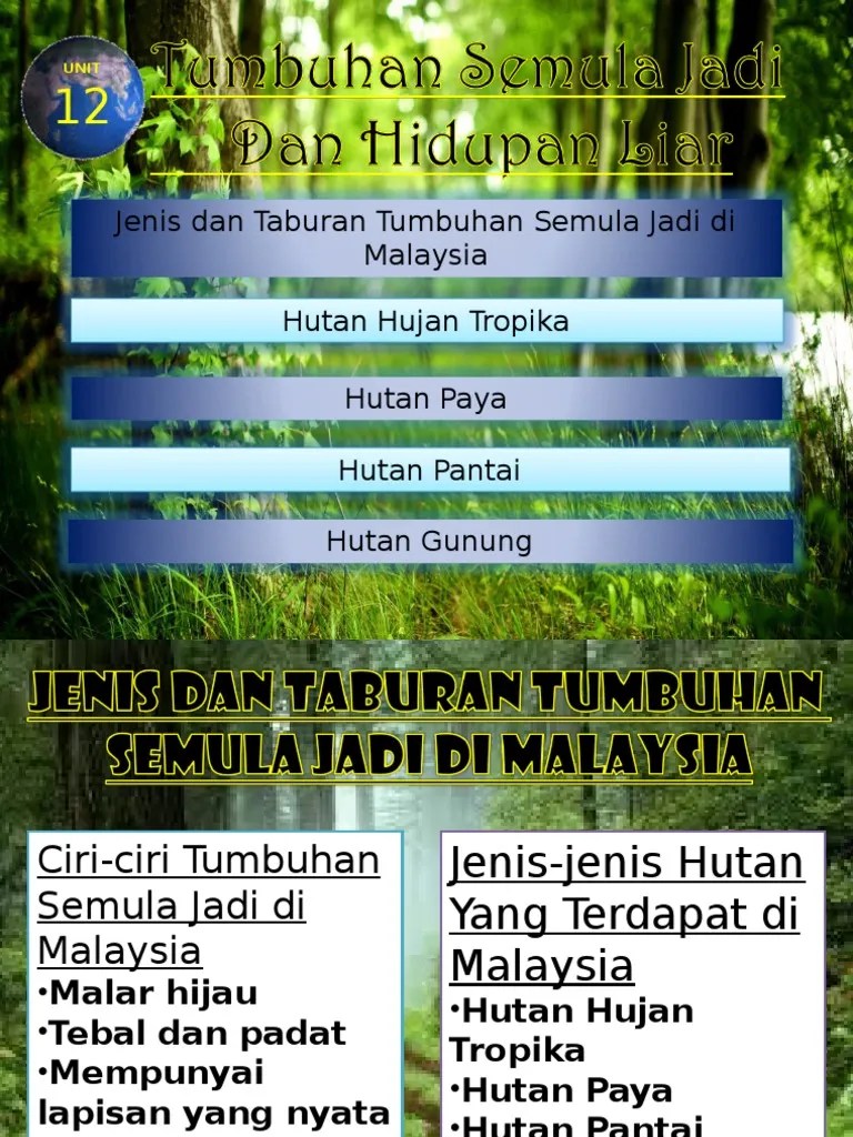 Hutan Paya Air Masin Tingkatan 3 / Geografi Tingkatan 3 Membalik Buku Halaman 151 200 Fliphtml5