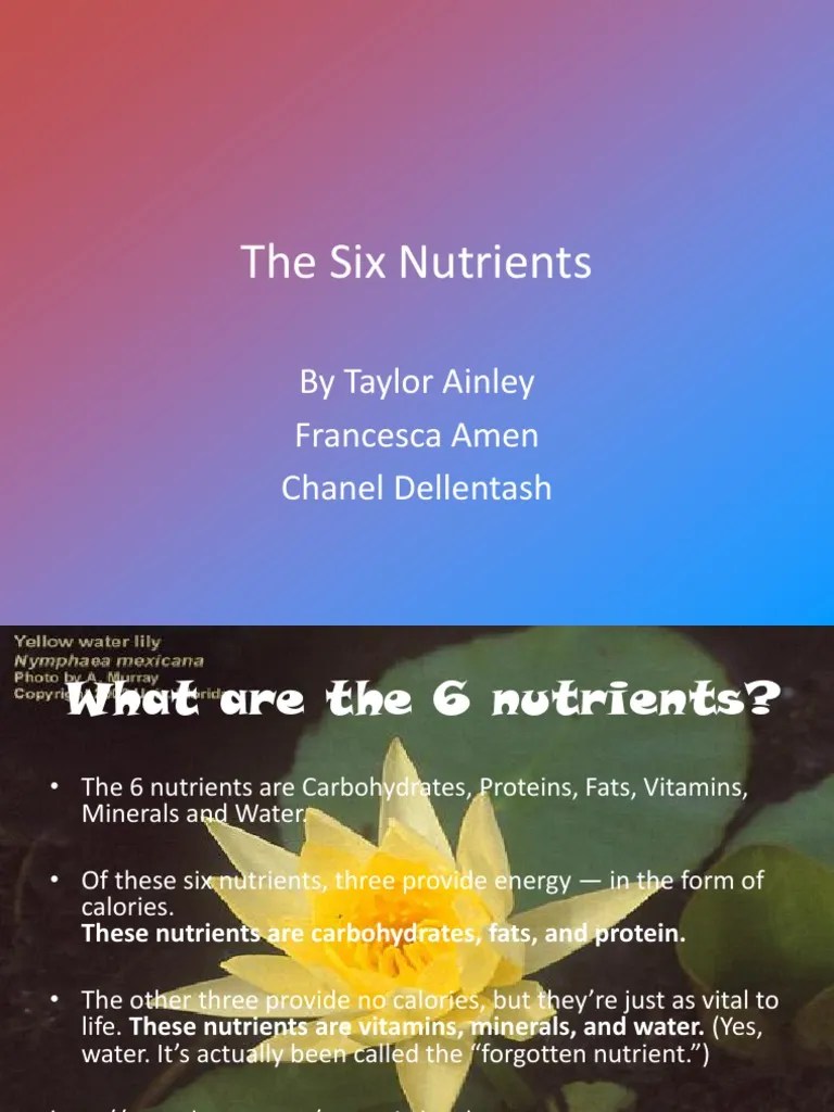 The Six Basic Nutrients | PDF | Margarine | Fat