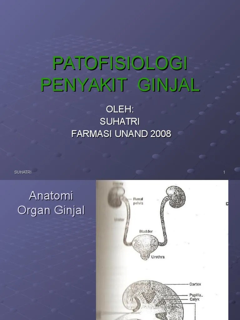 Penyakit Ginjal | PDF