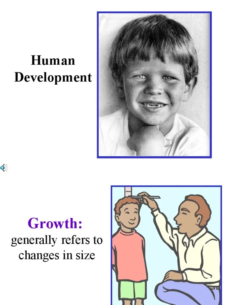 Human Development Stages | PDF | Infants | Developmental Psychology