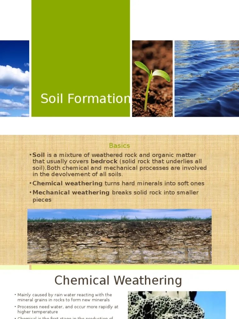 Soil Composition Powerpoint | PDF | Weathering | Soil