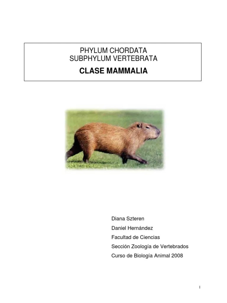 Mamiferos PDF | PDF | Mamíferos | Diente