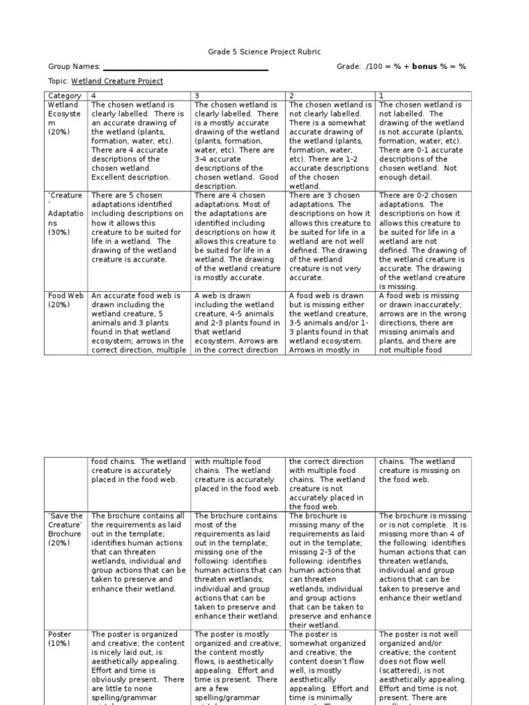 Grade 5 Science Project Rubric | Food Web | Wetland