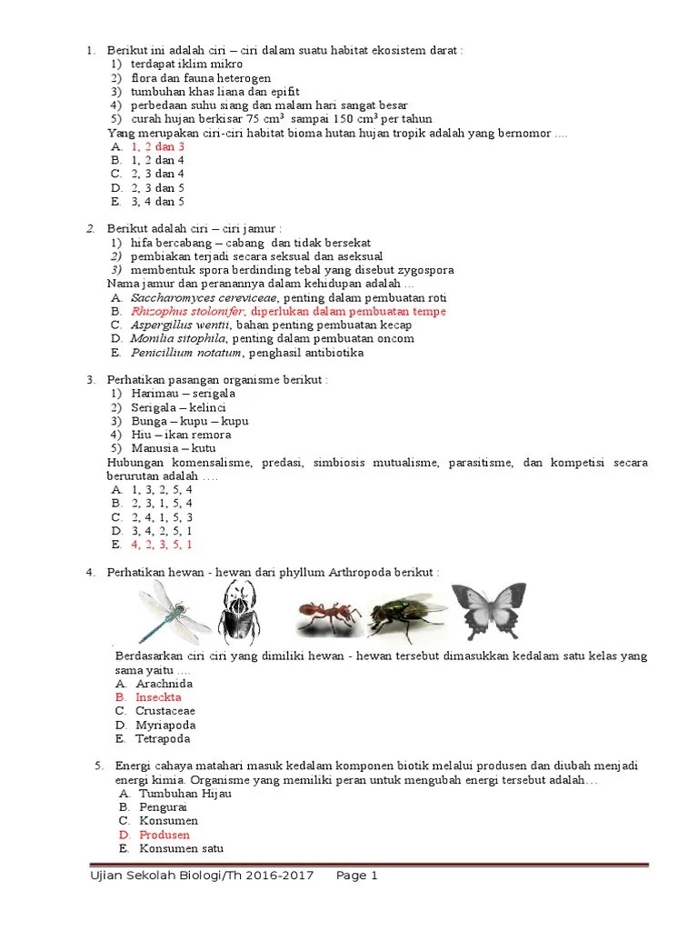 Asalkan tidak untuk di posting ulang di blog sobat (copy paste). Soal Usbn Smabos 2017 Biologi Pdf