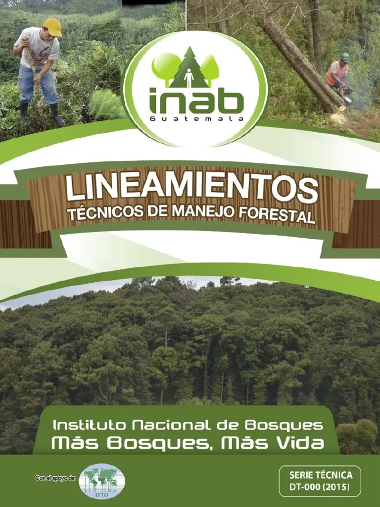 Lineamientos De Manejo Forestal | PDF | Gestión De Bosques | Los Bosques
