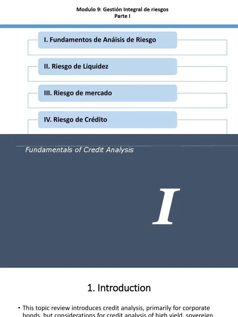 Gestion Integral De Riesgo | PDF | Bond Duration | Bonds (Finance)