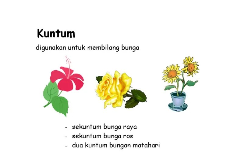 Bahasa korea penjodoh bilangan korea . Penjodoh Bilangan Kuntum Pdf