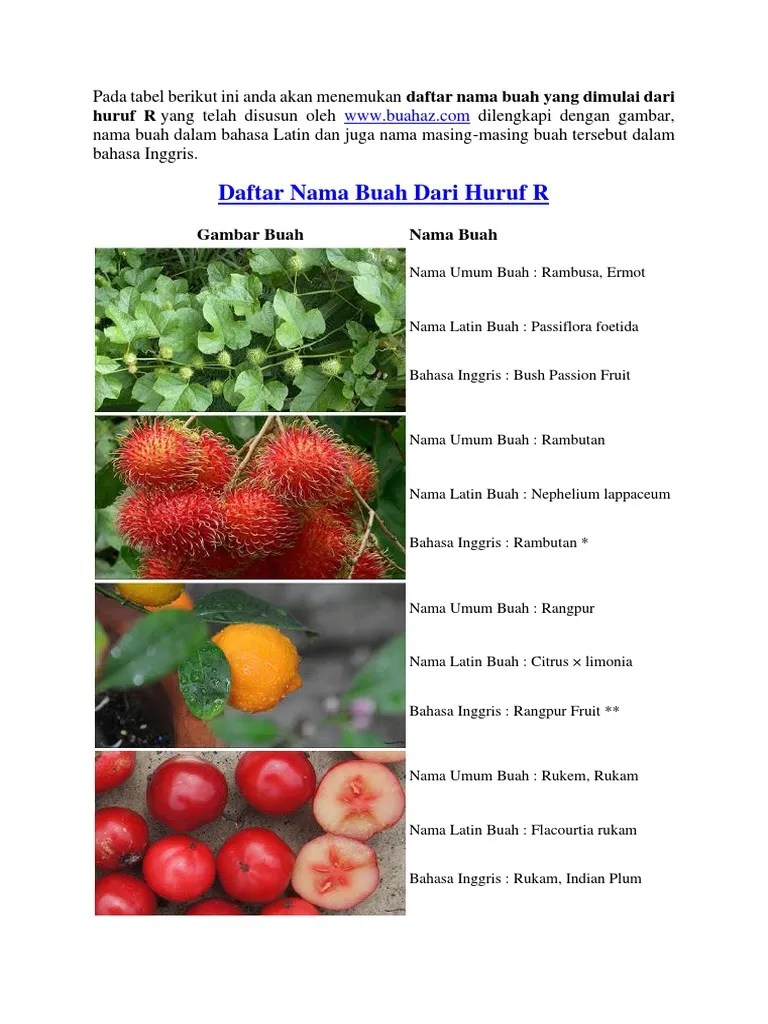 Buah ilama yang berasal dari kawasan amerika tengah seperti . Nama Buah Dari Huruf R Pdf