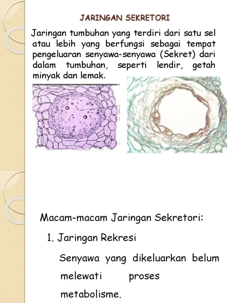 Kuliah Sekretori | PDF
