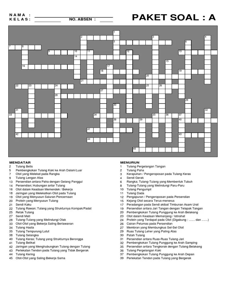 Tts Sistem Gerak | PDF