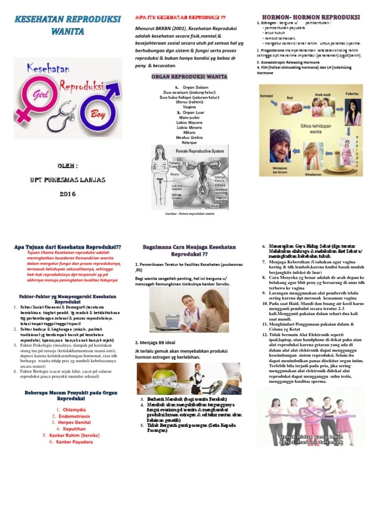Leaflet Kesehatan Reproduksi Wanita | PDF