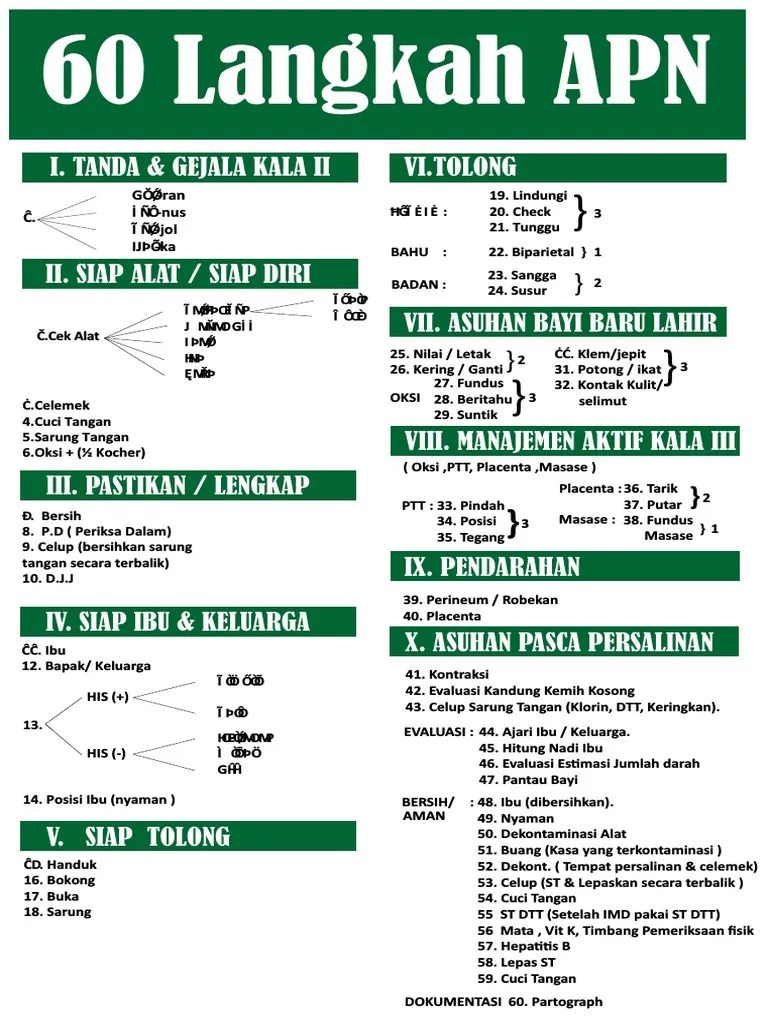 60 Langkah Manajemen Persalinan Normal Dan Komplikasi Dasar | PDF