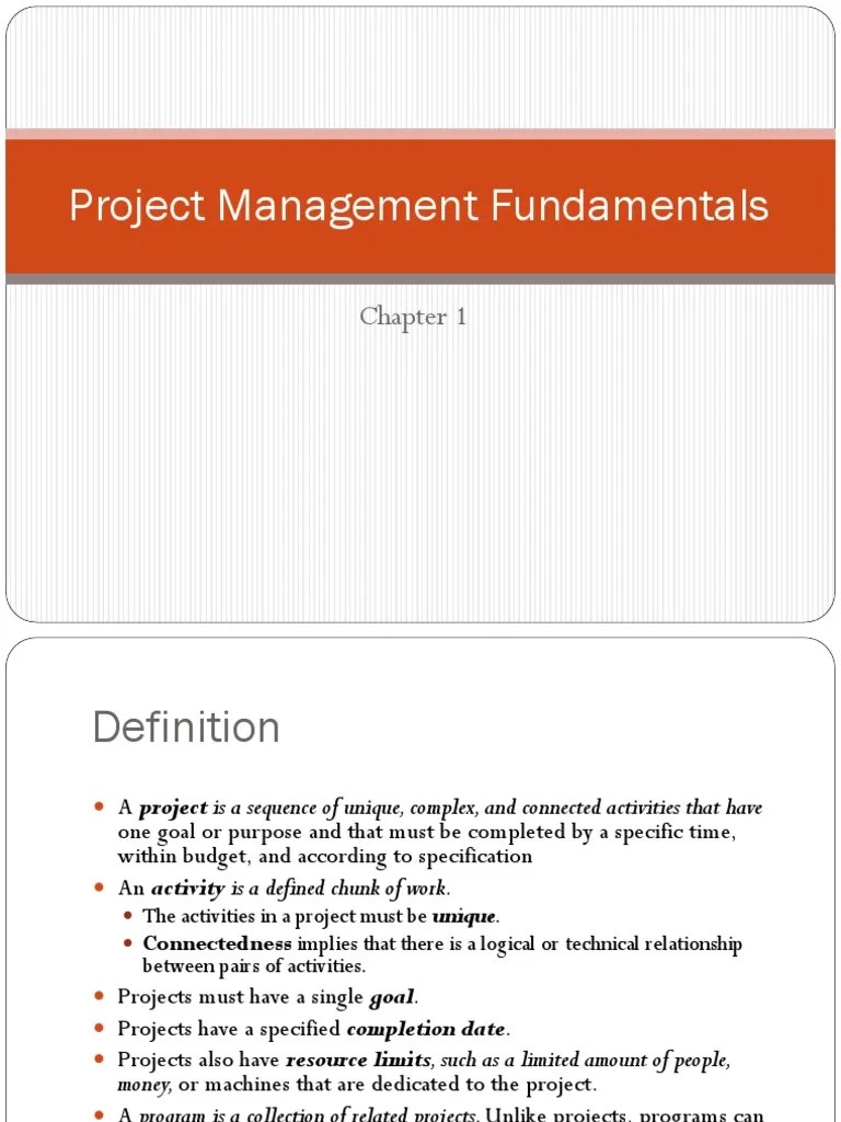Project Management Fundamentals | PDF | Project Management | Computing