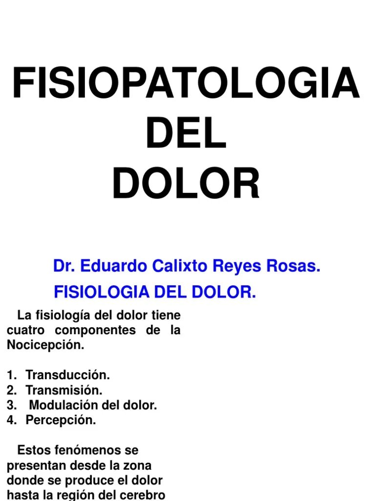 Fisiologia Del Dolor  PDF  Dolor  Tlamo.