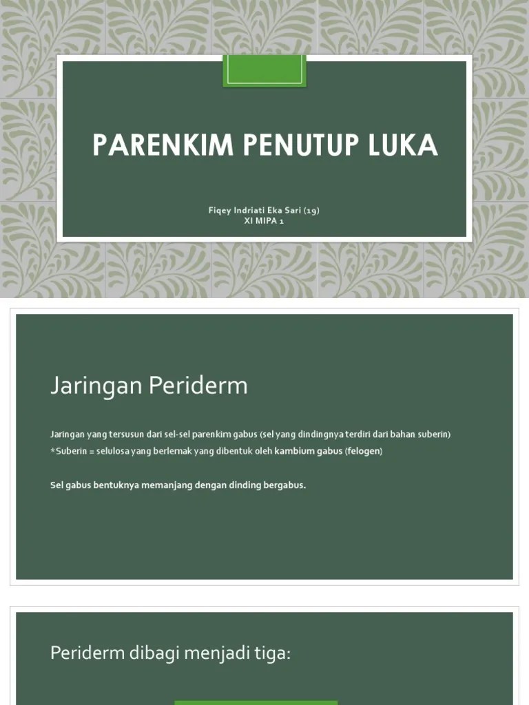 Parenkim Penutup Luka | PDF
