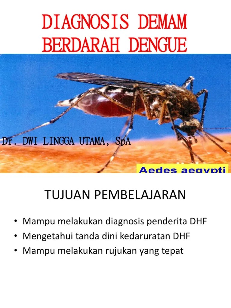 Dr. I Made Gede Dwi Lingga Utama, Sp.a - DIAGNOSIS DBD | PDF