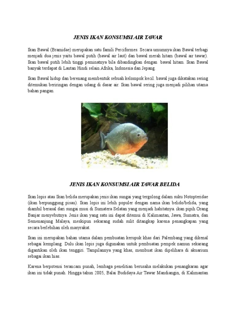 Jenis ikan dewa torsoro dan sejarahnya di indonesia. Jenis Ikan Konsumsi Air Tawar Pdf