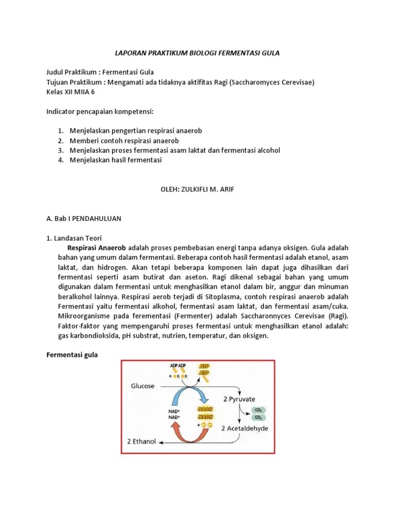 Laporan Praktikum Biologi Fermentasi Gula | PDF