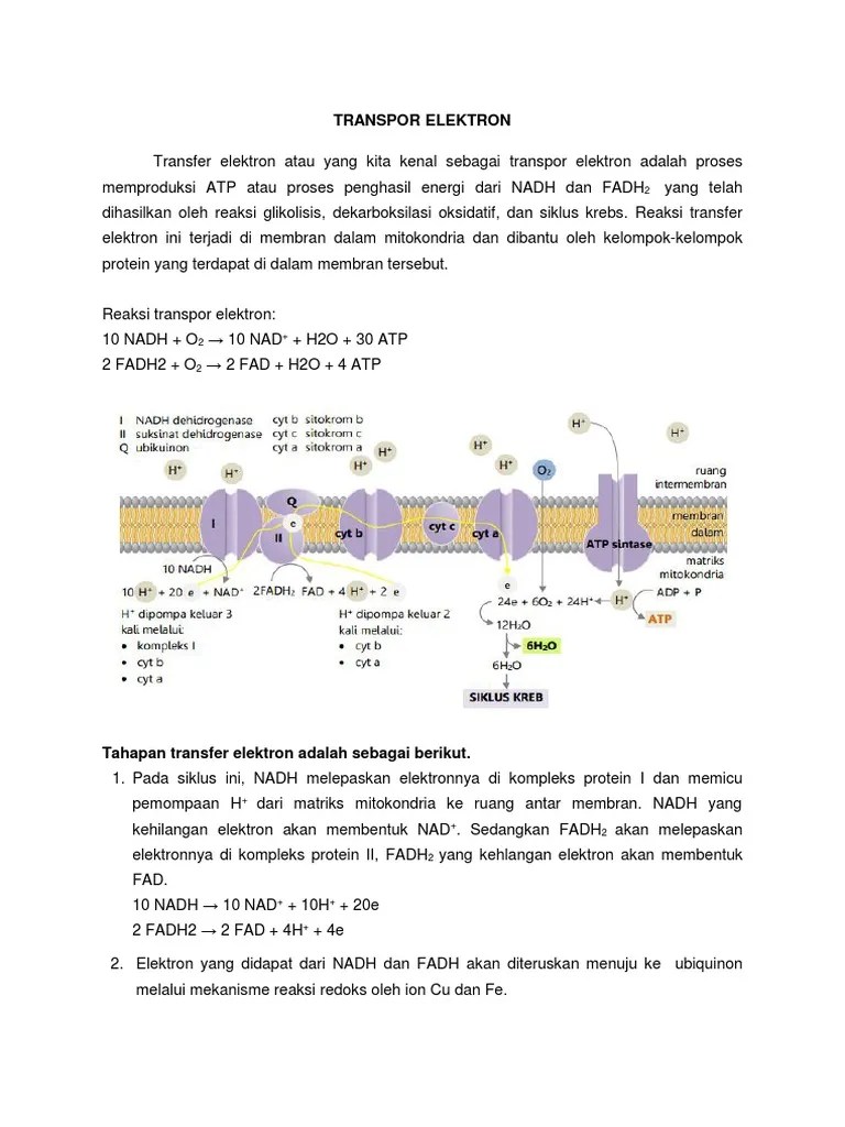 Transpor Elektron 1 | PDF