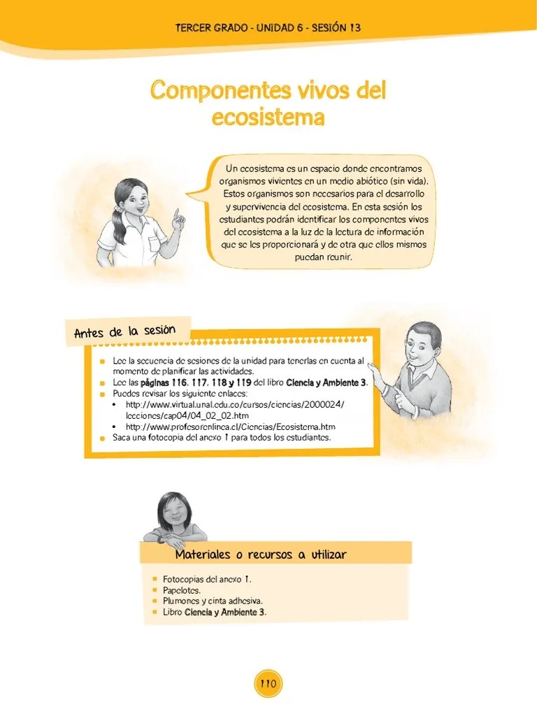 3G-U6-Sesion13 Ecosistema PDF | PDF | Organismos | Ecosistema