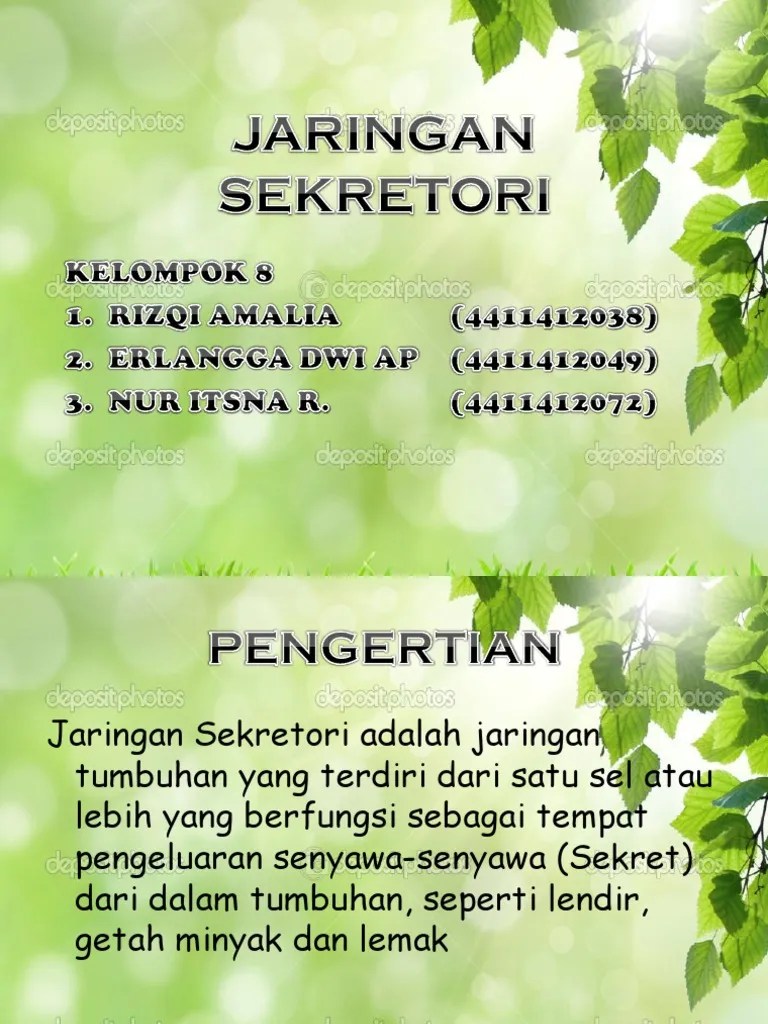Jaringan Sekretori | PDF