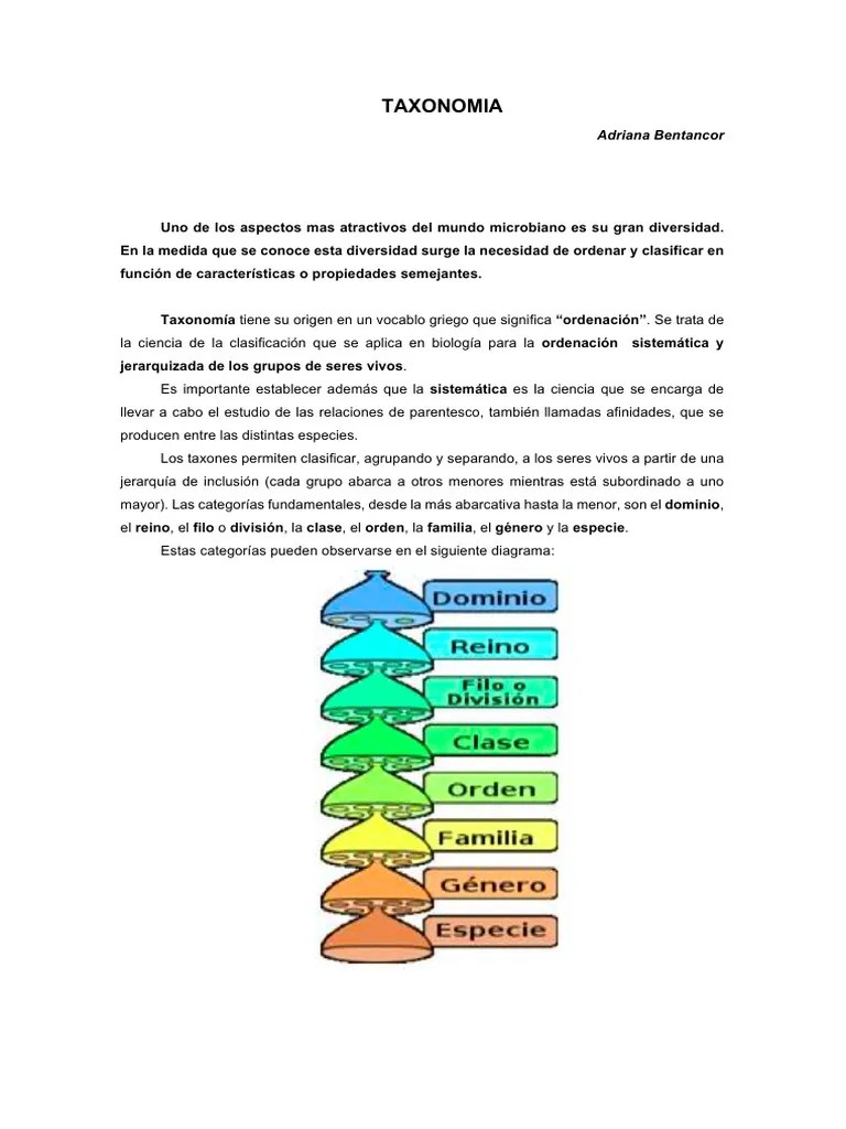 Taxonomia | Descargar Gratis PDF | Las Bacterias | Taxonomía (biología)