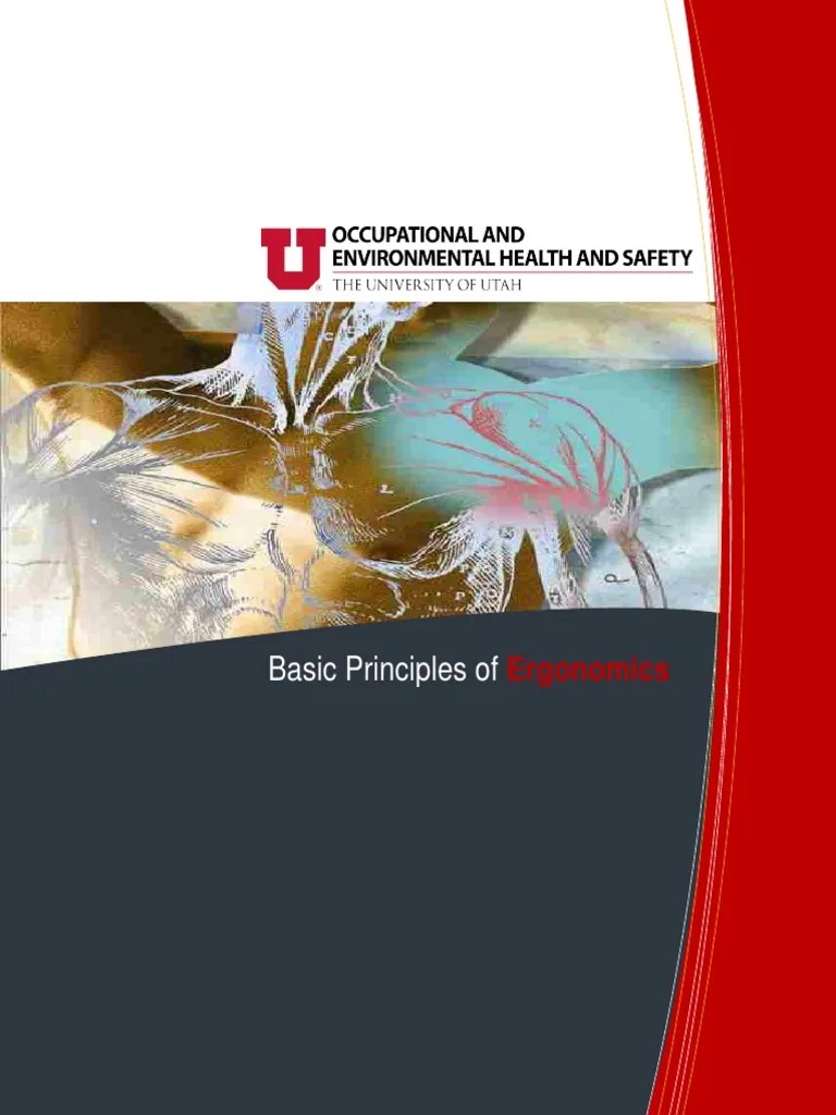 Basic Principles Of Ergonomics | PDF | Human Factors And Ergonomics ...