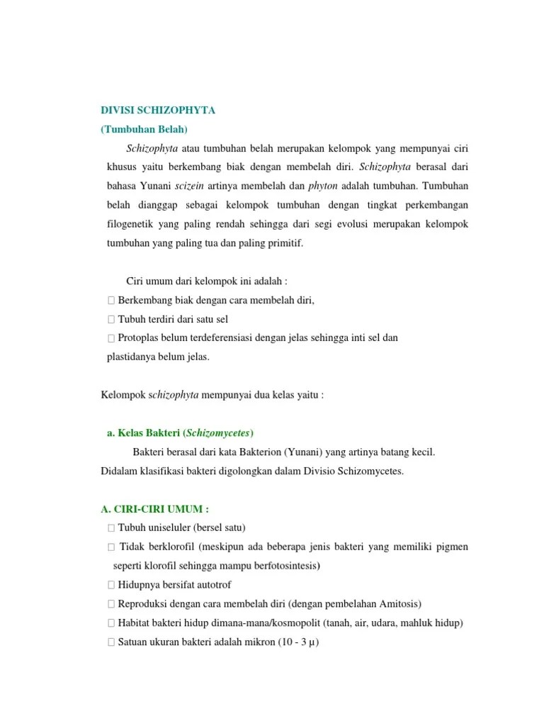 Divisi Schizophyta | PDF