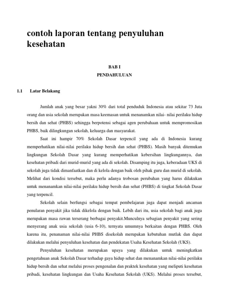 Contoh Laporan Tentang Penyuluhan Kesehatan | PDF