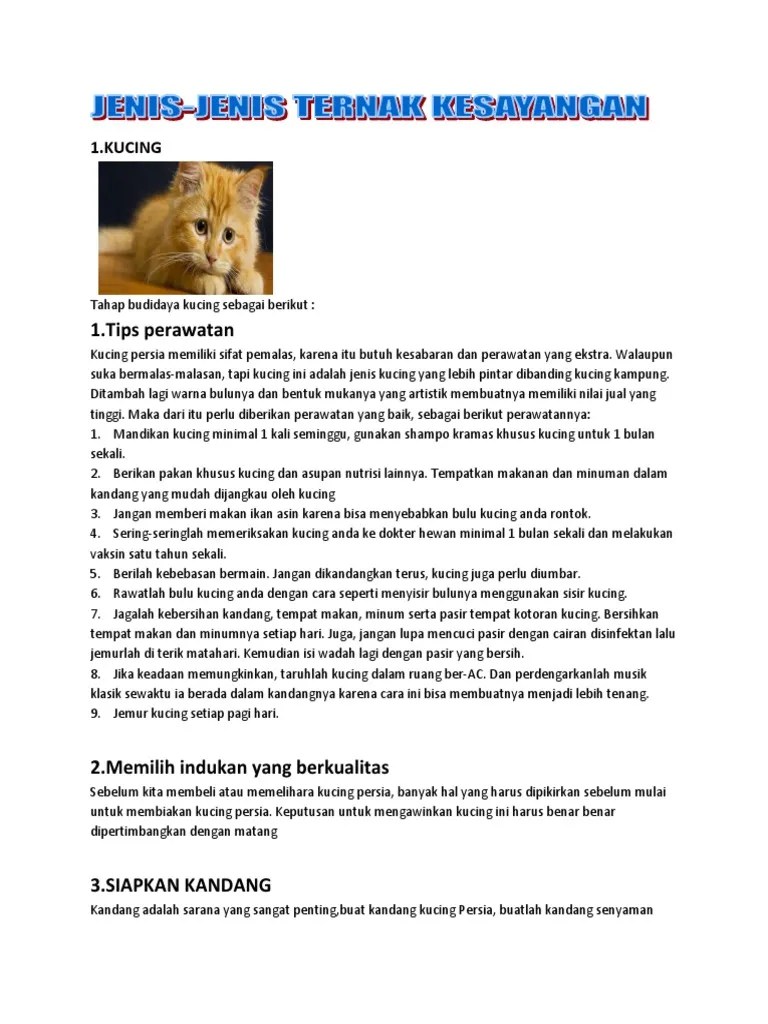 Jenis Ternak Kesayangan Dan Ciri Cirinya – Sekali