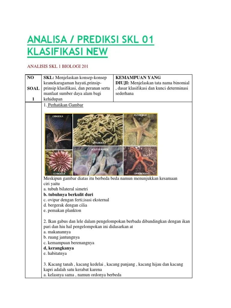 Membuat kunci determinasi makhluk hidup sederhana. Skl Klasifikasi Pdf