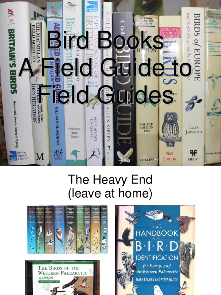 Free Download Pdf The Birds Of Ireland A Field Guide Read