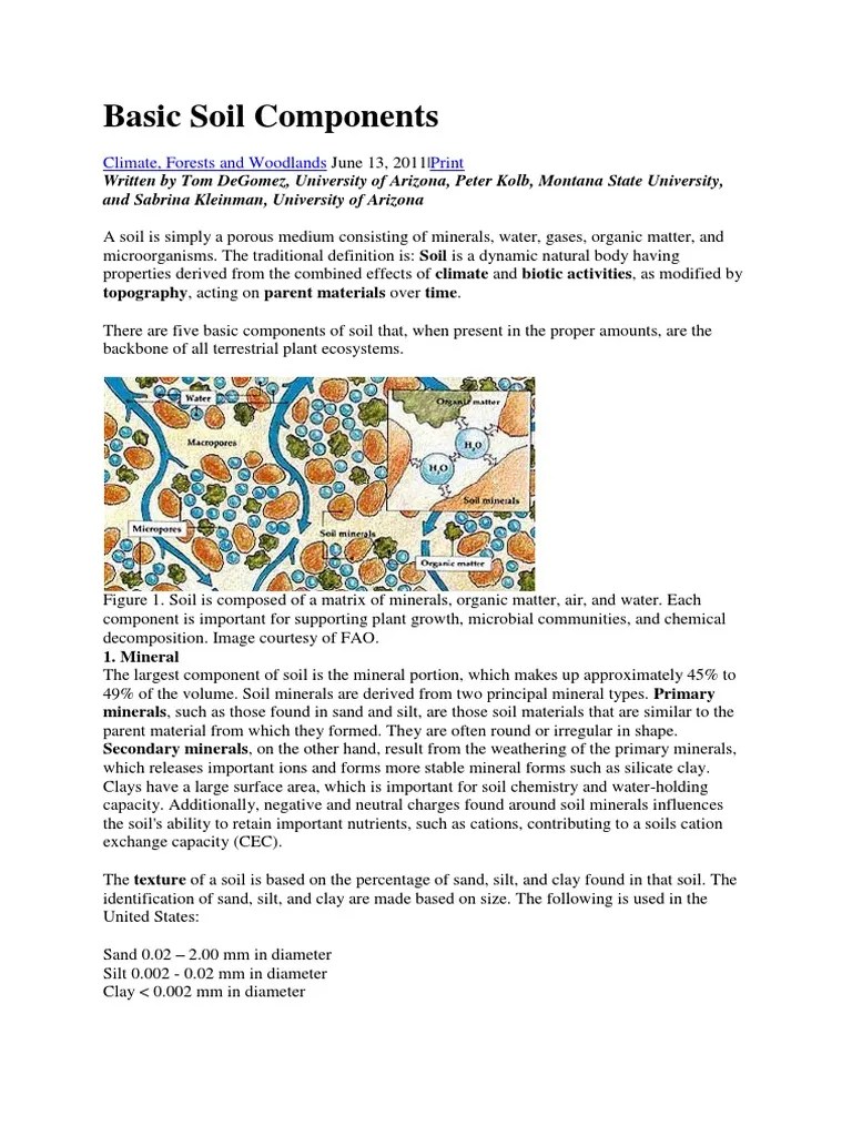 Basic Soil Components | PDF | Organic Matter | Soil