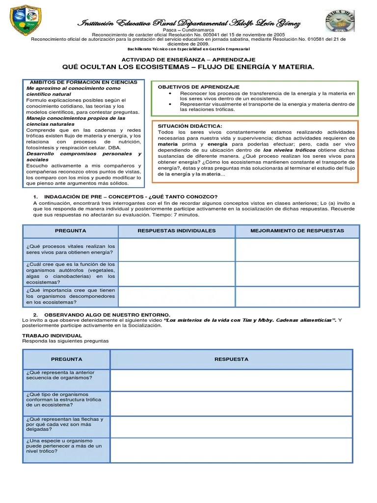 Actividad De Enseñanza - Aprendizaje Flujo De Energía Y Materia | PDF ...